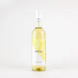 Antal Pincészet Chardonnay palackja