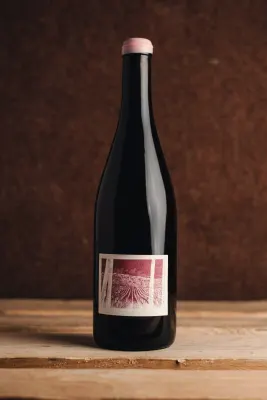 Bencze Pince Várvölgy Pinot Gris „Impromptu” 2022 palackja