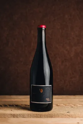 Bencze Pince Pinot Noir 2022 palackja